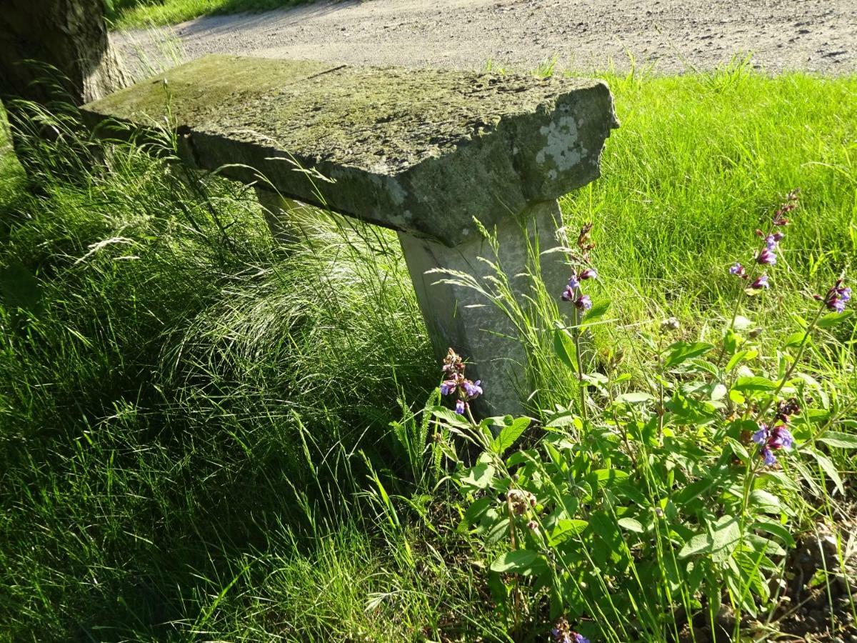Alte Scheune Rietzschelhof Muglitztal Eksteriør bilde